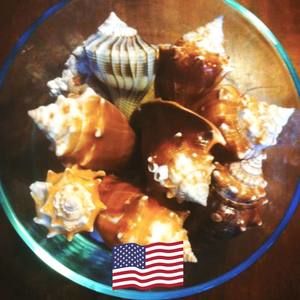 Meet your Posher, Bryan